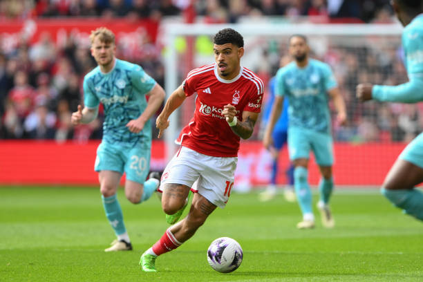 小胡伯克的 小胡伯克的