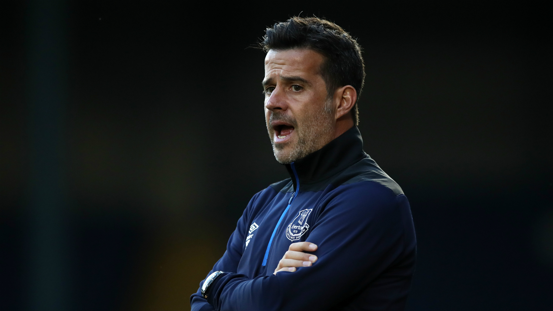 瓦尔迪将在 瓦尔迪将在